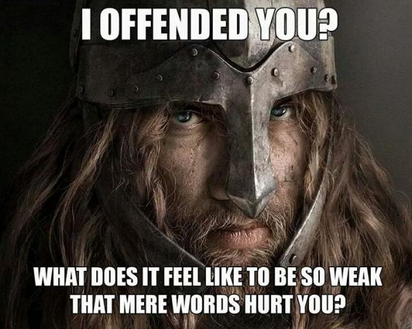 viking_offended